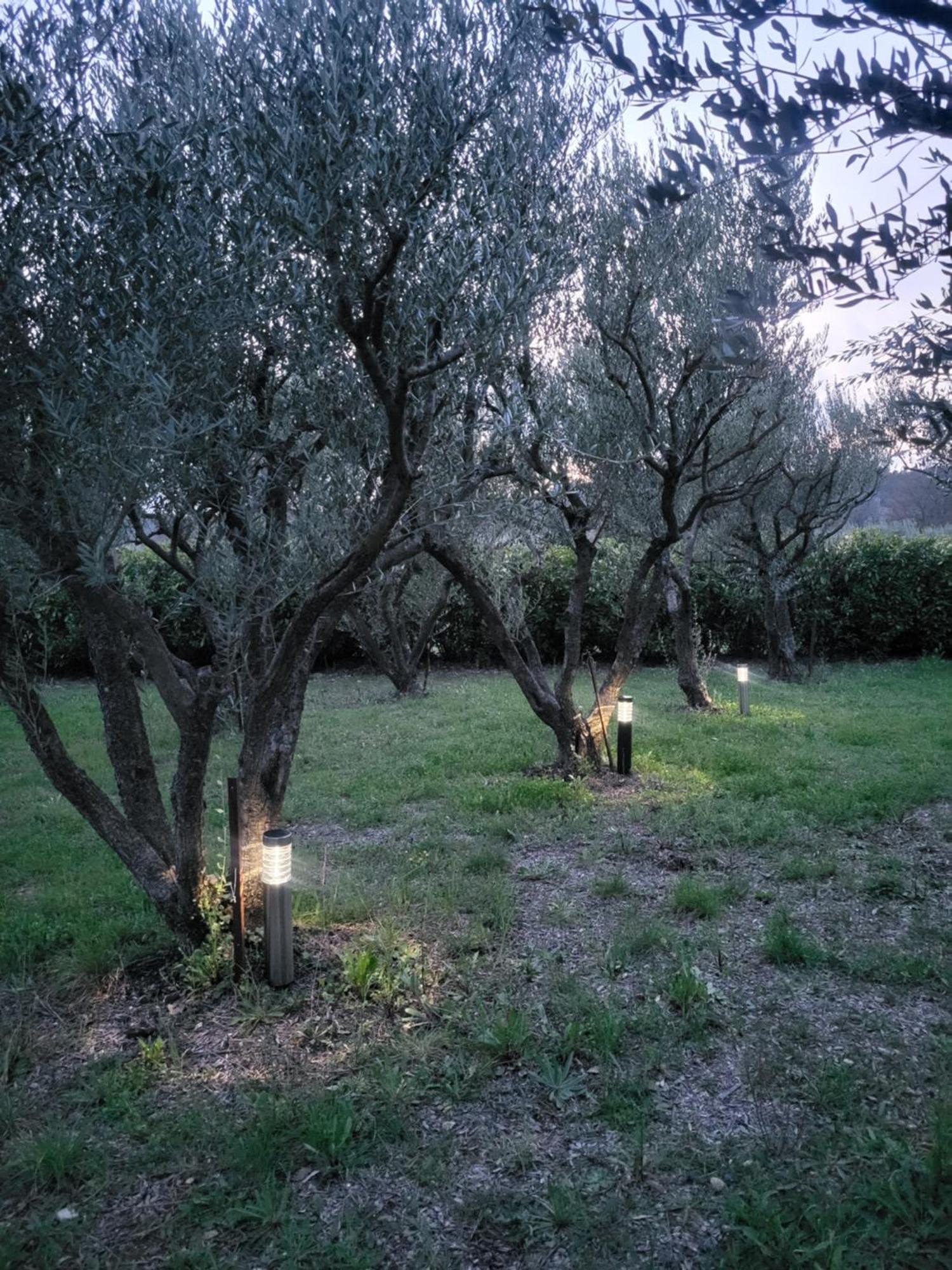 קוטיניאק Maison Dans La Provence Verte מראה חיצוני תמונה